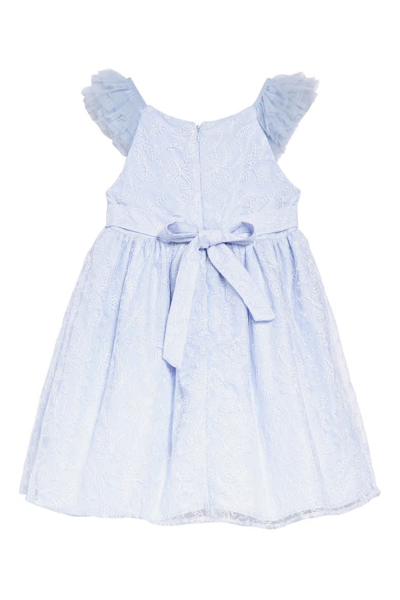 Embroidered Flutter Sleeve Dress, Alternate, color, BLUE