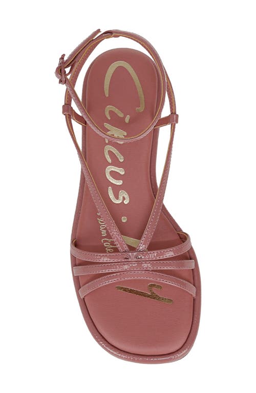 Circus Ny By Sam Edelman Olana Strappy Flat Sandals In Berry Blush