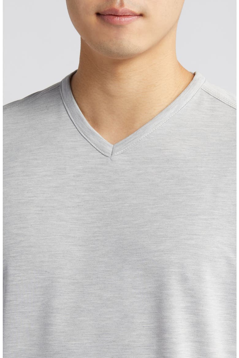 New Costa V-Neck T-Shirt, Alternate, color, ASH GREY