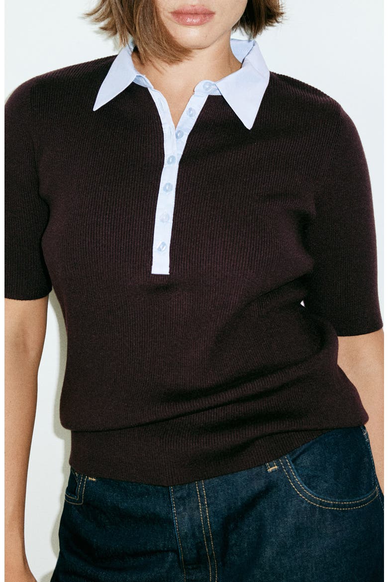 Contrast Collar Short Sleeve Rib Sweater, Main, color, CHOCOLATE