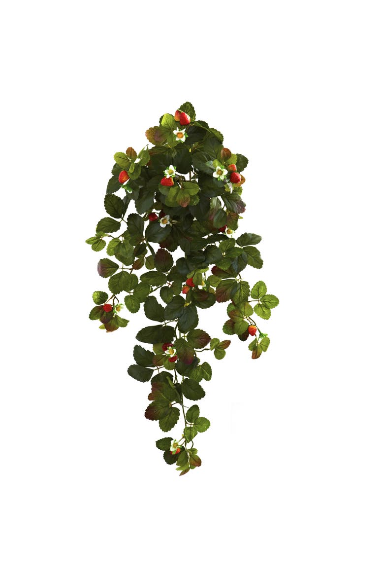 31-in Strawberry Hanging Bush with Berry, Main, color, Green