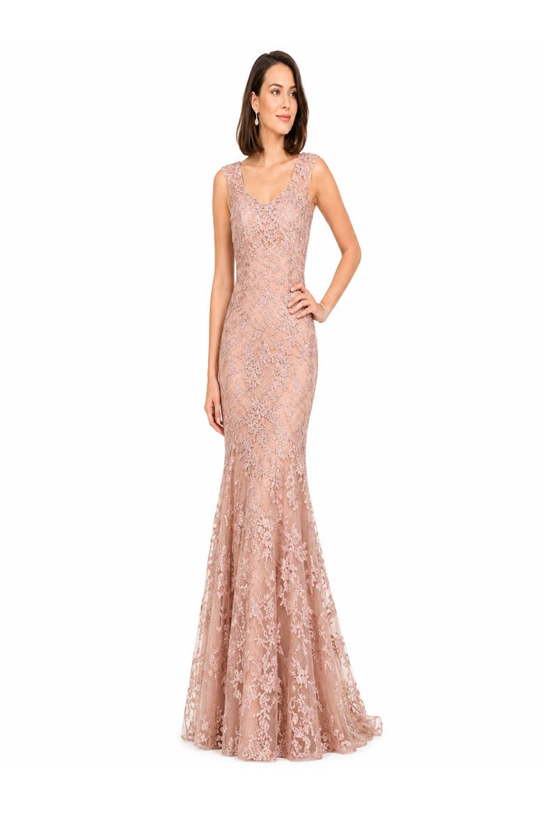 Sleeveless Mermaid Lace Embroidered Gown, Main, color, Blush