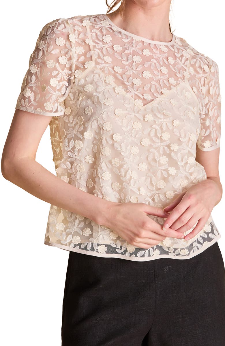 Endless Rose Embroidered Mesh Top, Alternate, color, Ivory