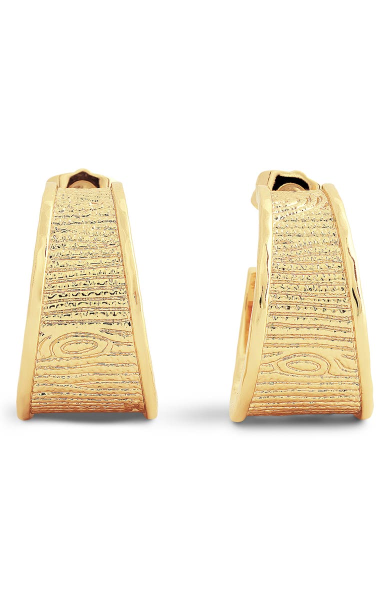 Anabel Aram Jewelry Enchanted Forest Bark Hoop Earrings, Alternate, color, Gold