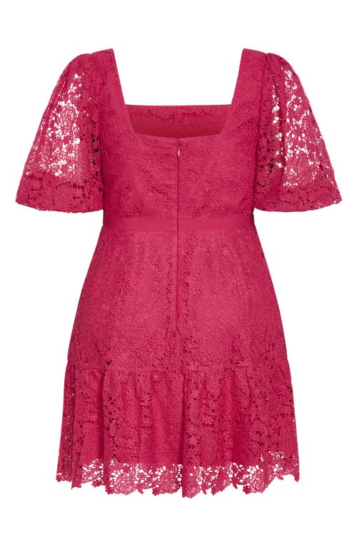 City Chic Priscilla Lace Minidress In Lilac Rose