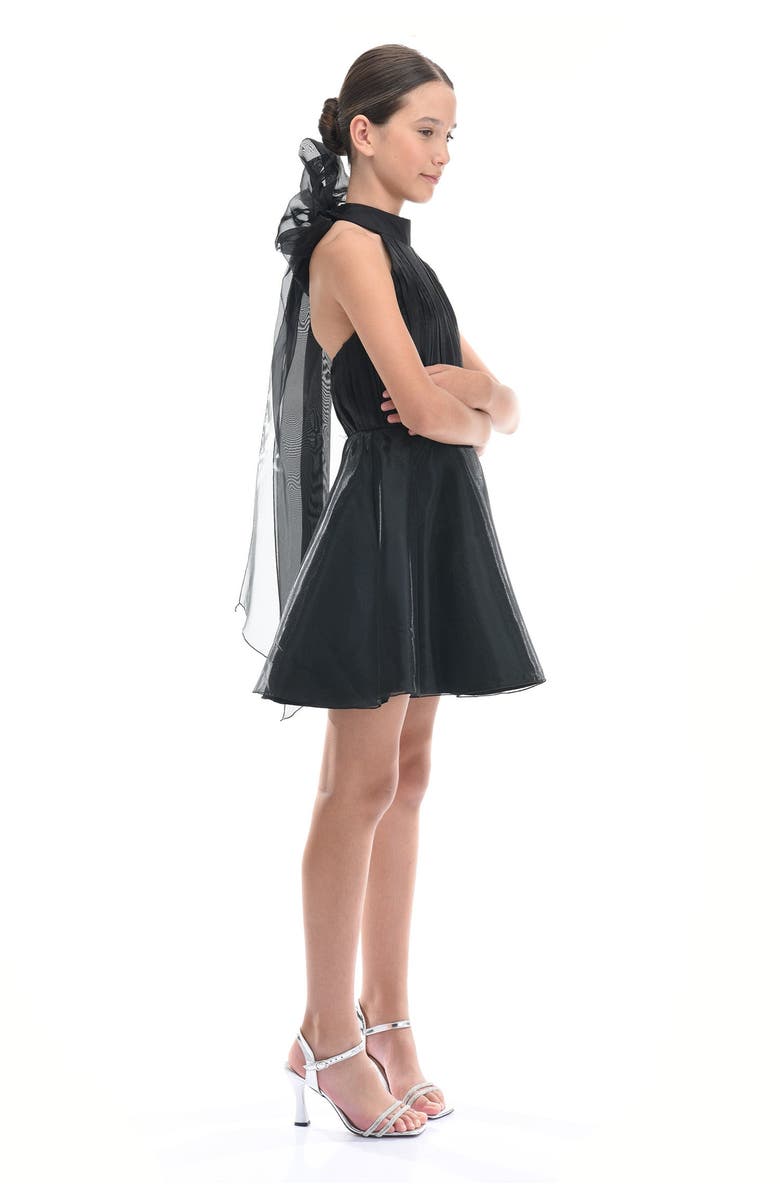 Tulleen Tivoli Dress, Alternate, color, Black