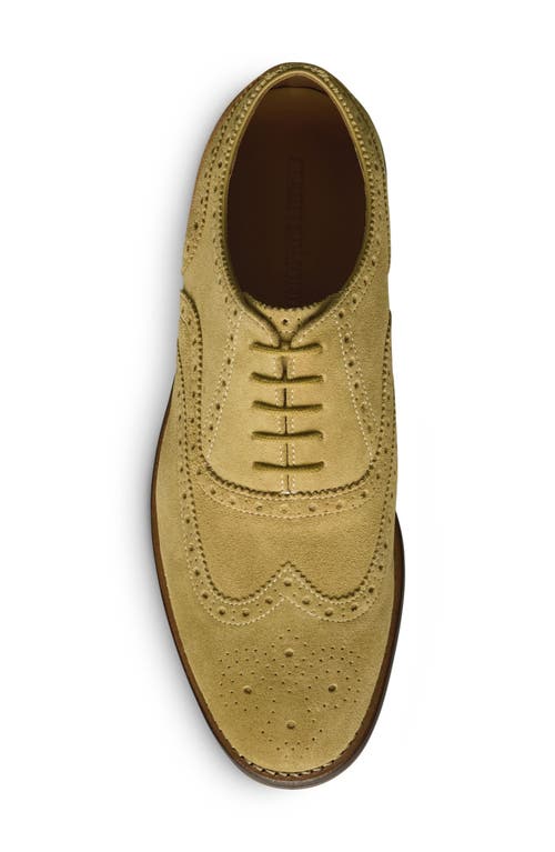 Allen Edmonds Hendrix Wingtop Oxford