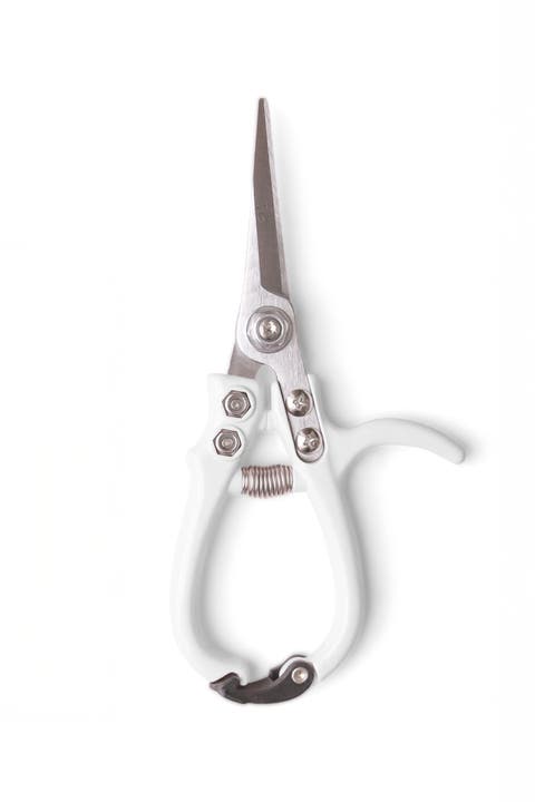 Pruning Shears