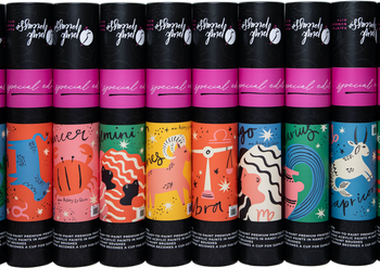 Special Edition Zodiac Aquarius Paint by Numbers Kit