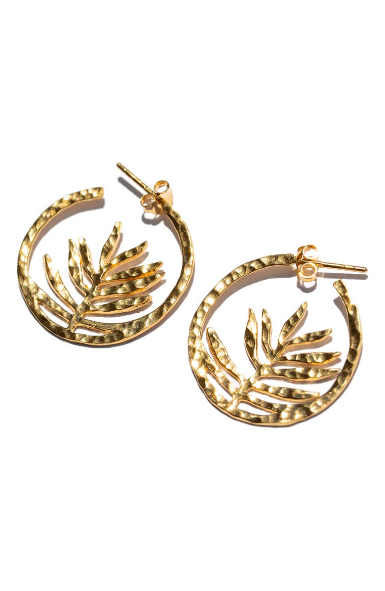 Kiara by Ki-Ele Small Palm Frond Hoop Earrings, Main, color, Gold