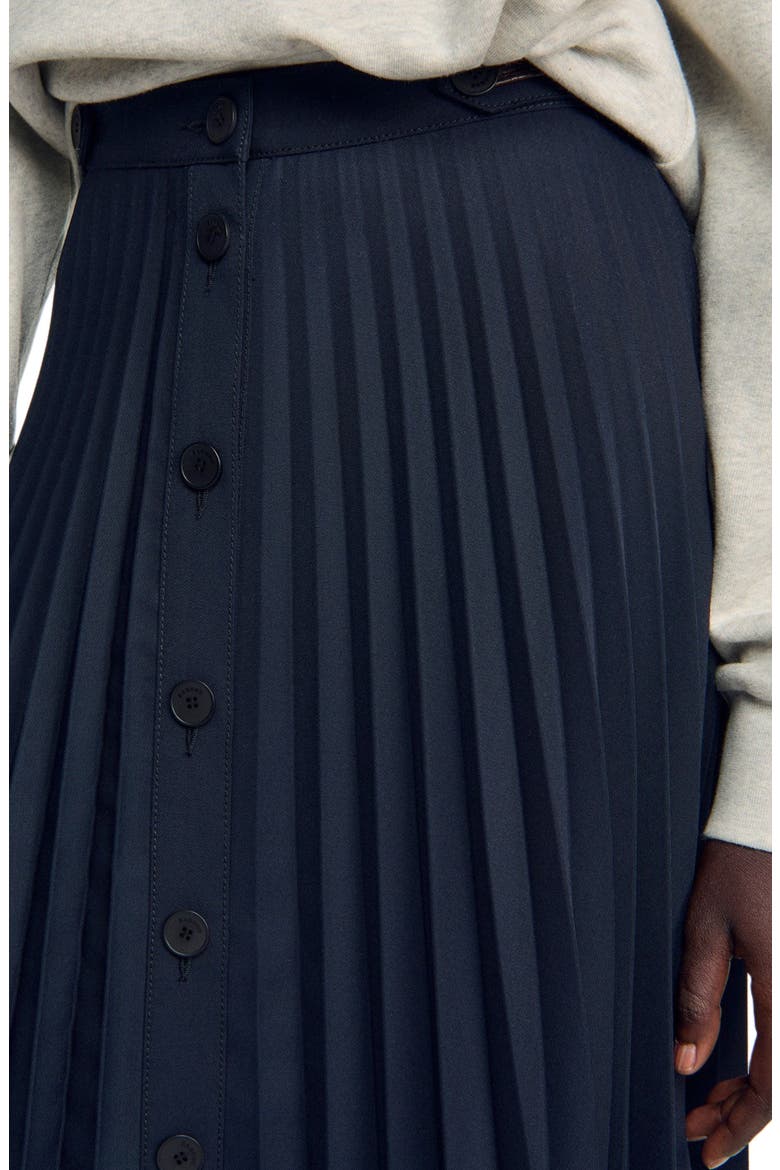 Long Pleated Skirt, Alternate, color, Navy blue