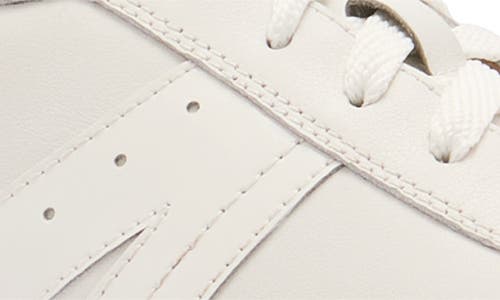 Frankie4 Levi Sneaker In Multi