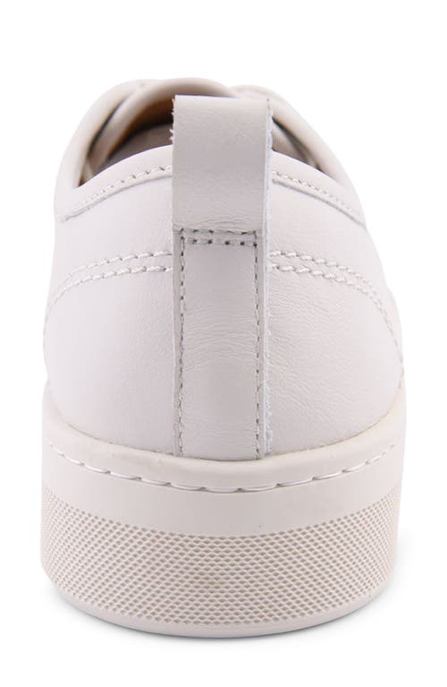 Sperry Top-sider® Sperry Candy Low Top Sneaker In Egret