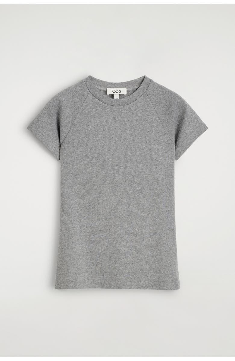 COS Slim Cotton T-Shirt, Alternate, color, Gray Mélange