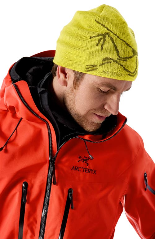 Arc'teryx Bird Head Merino Wool Blend Beanie In Yellow