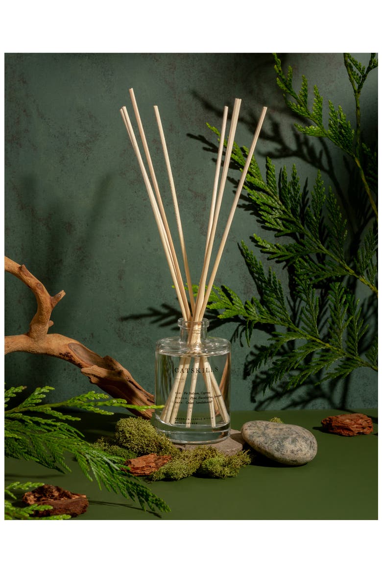 Catskills Reed Diffuser, Alternate, color, CATSKILLS