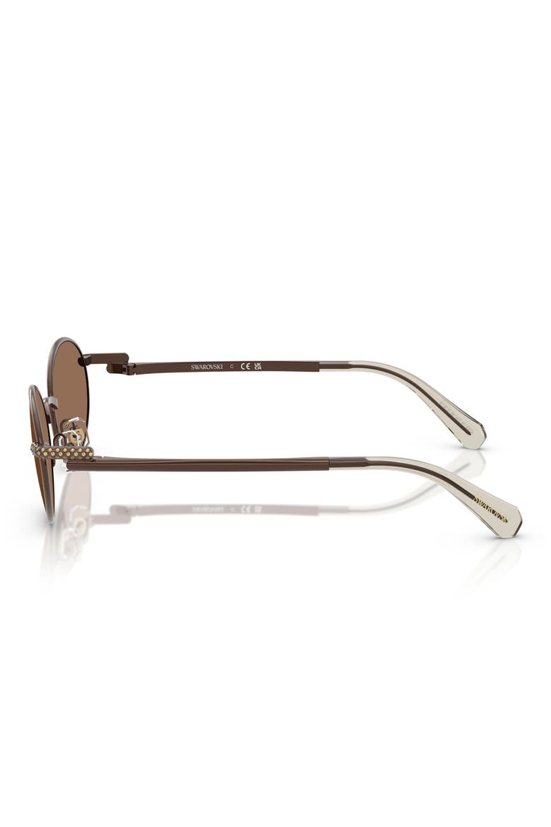 53mm Oval Sunglasses, Alternate, color, BROWN / DARK BROWN