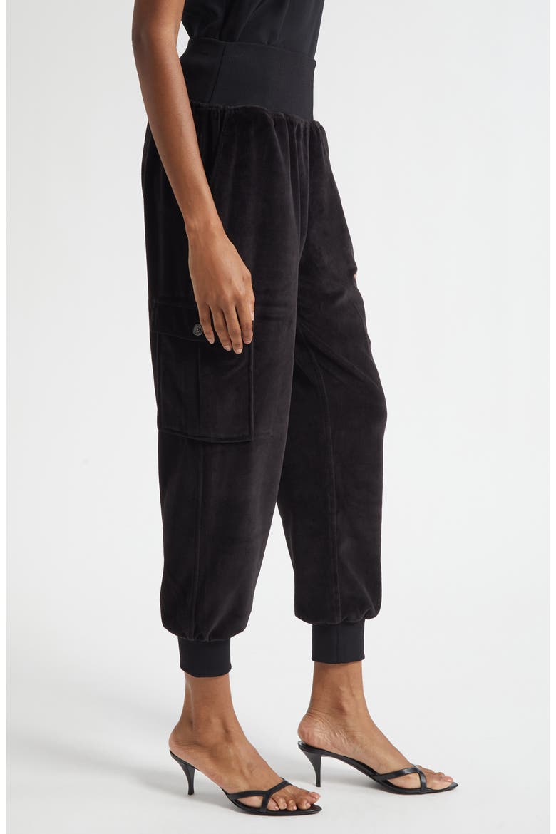 Giles Velour Ankle Pants, Alternate, color, BLACK
