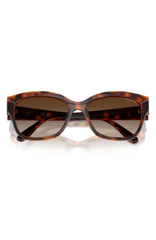 Vogue 55mm Polarized Gradient Butterfly Sunglasses In Brown
