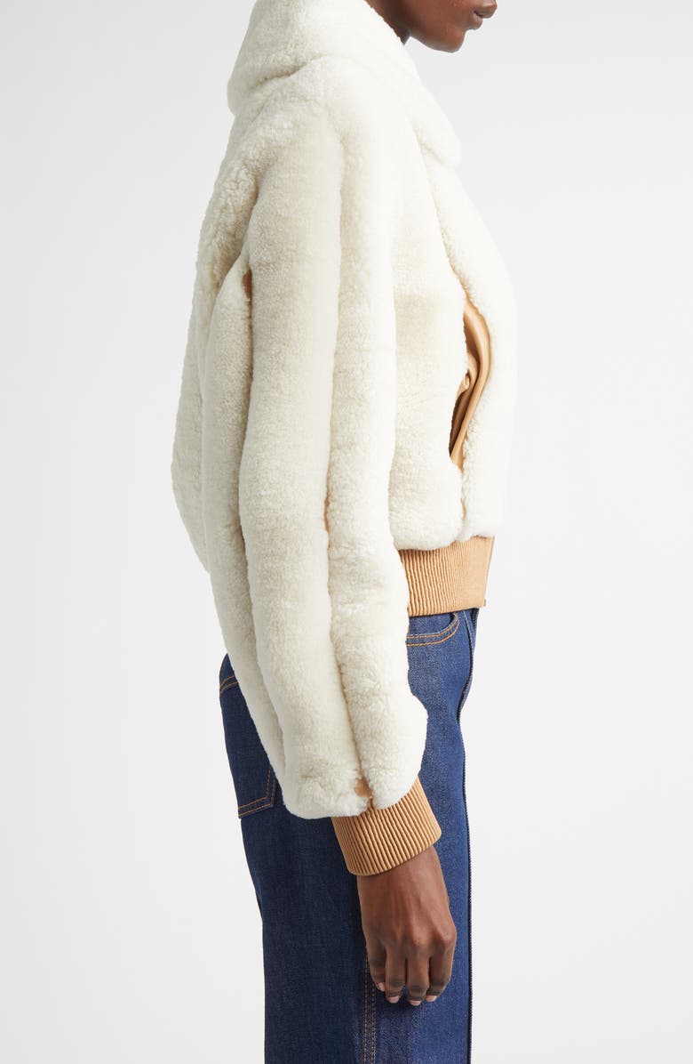 Zimmermann Hypnotic Genuine Shearling Bomber Jacket, Alternate, color, Cream