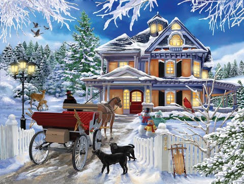 Winter Visit 300 piece Jigsaw Puzzle for Adults