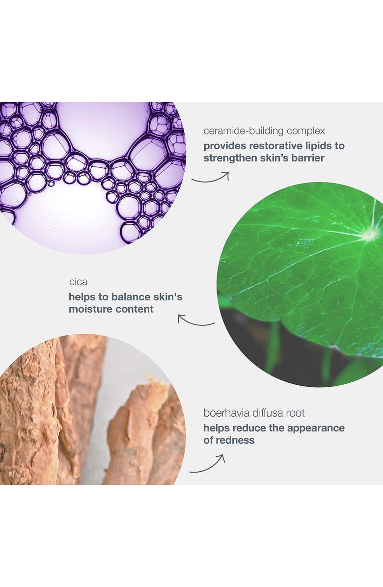 dermalogica<sup>®</sup> Stabilizing Repair Cream, Alternate, color, 