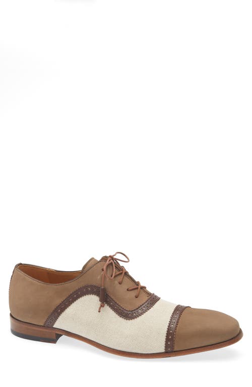 Mezlan Ayna Plain Toe Oxford In Olive Multi