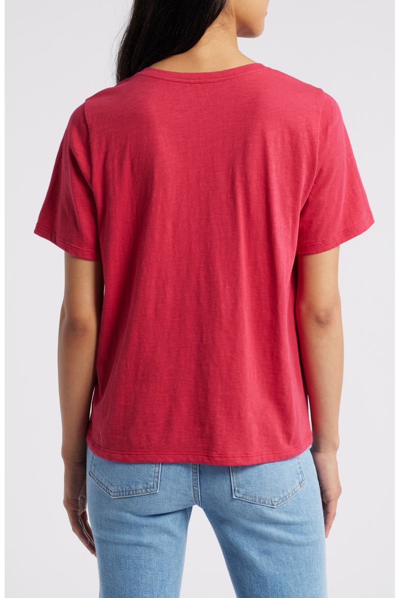 Easy V-Neck Organic Cotton T-Shirt, Alternate, color, AZALA