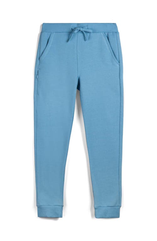 Mightly Organic Cotton Fleece Pocket Joggers In Blue