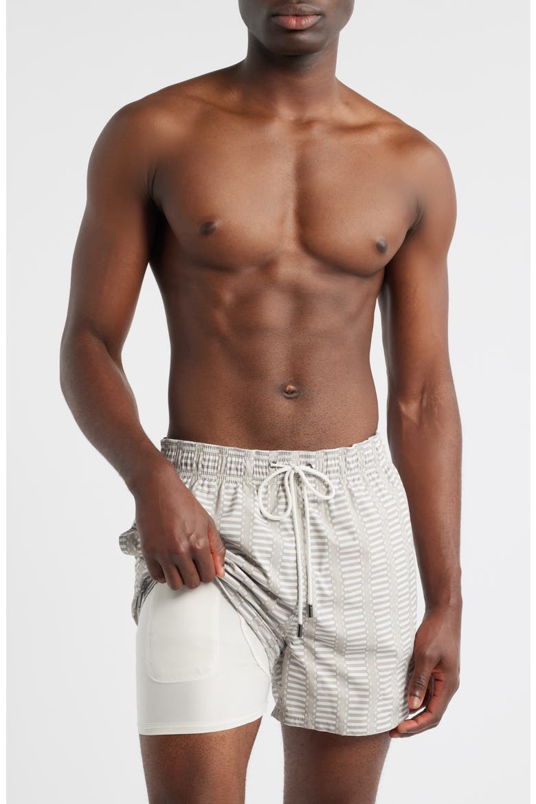 Cruz Geo Print Swim Trunks, Alternate, color, DESERT