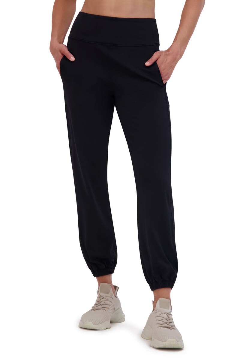 SAGE COLLECTIVE Skinny Performance Joggers, Alternate, color, 