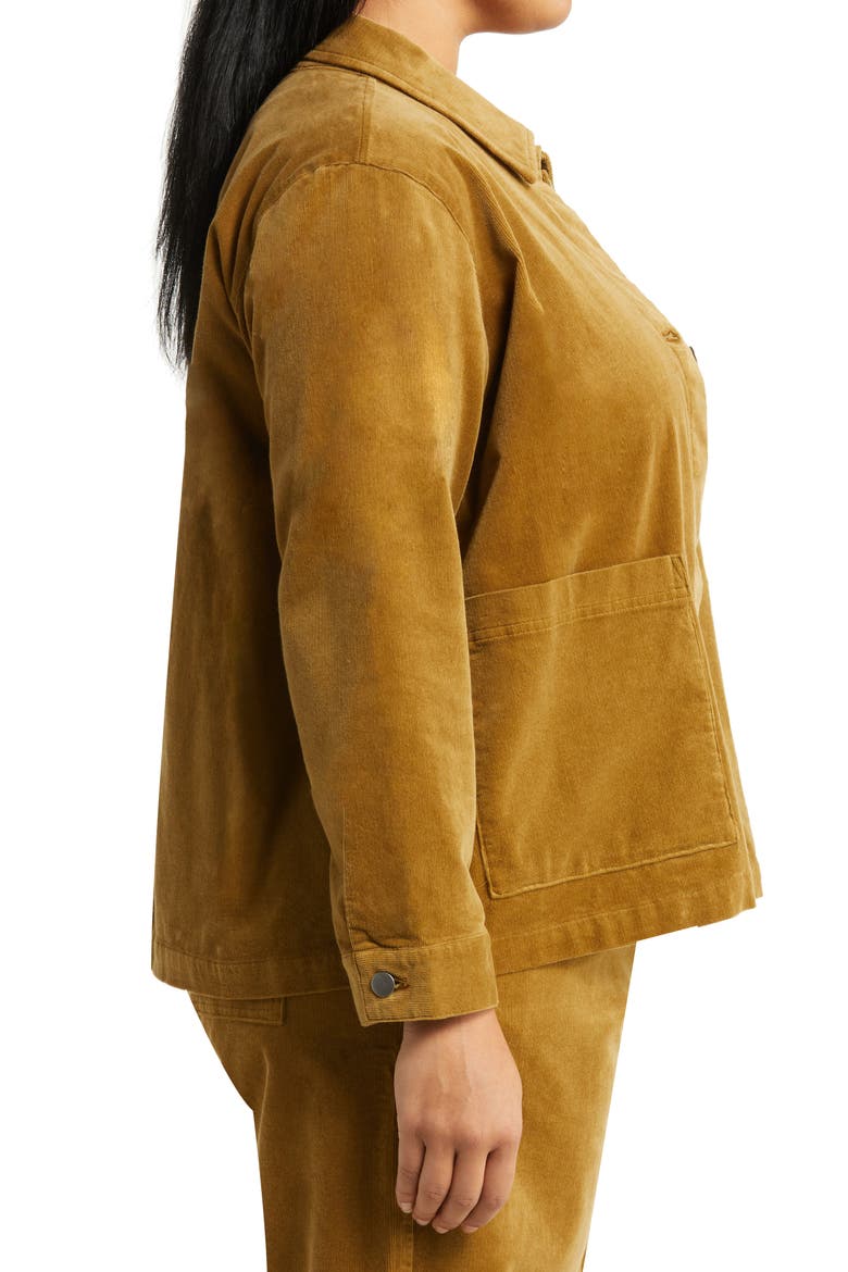 Classic Collar Organic Cotton Corduroy Jacket, Alternate, color, BUTTERNUT