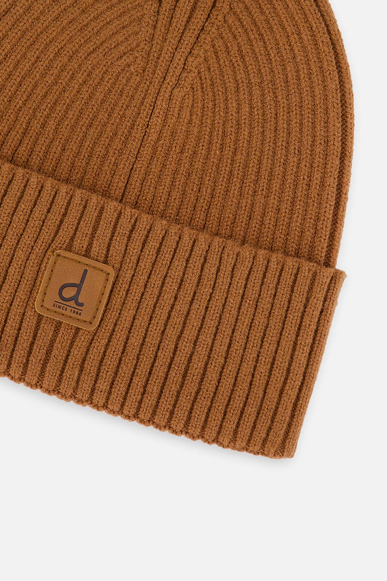 Ribbed Knit Folded Cuff Logo Patch Hat, Alternate, color, Brown Sugar