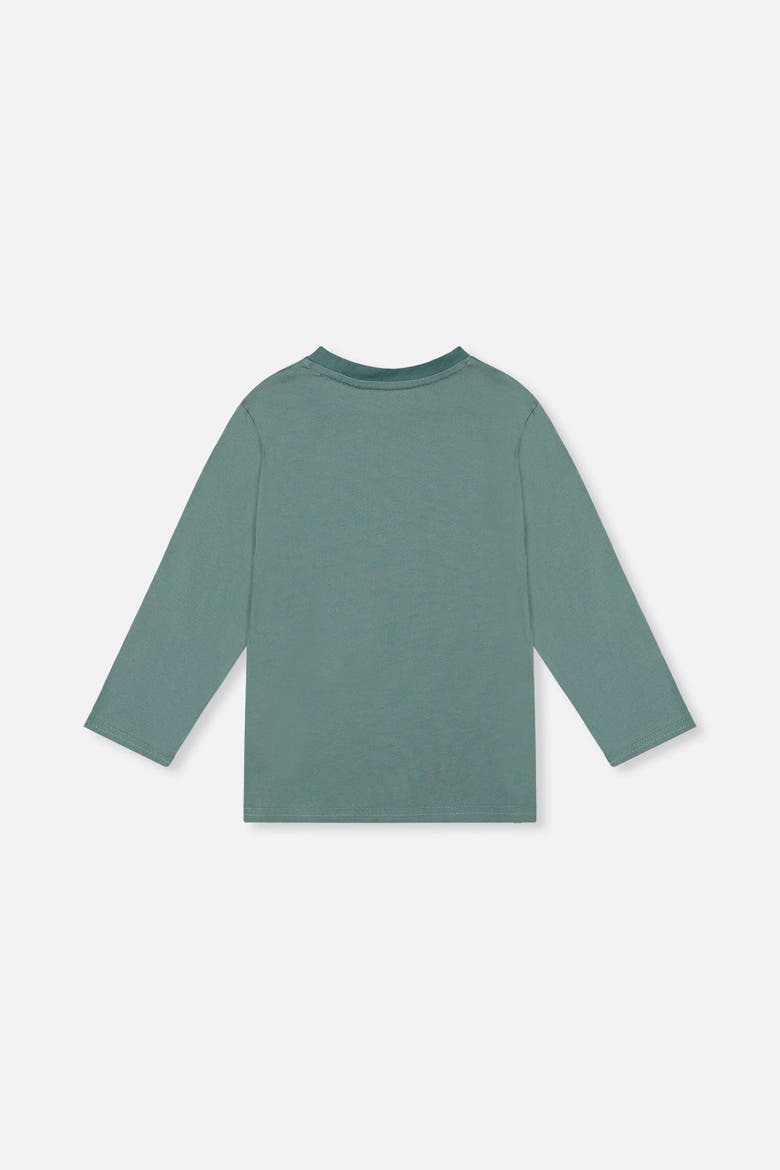 Cotton Crew Neck Wolf Graphic Long Sleeve T-Shirt, Alternate, color, Turquoise