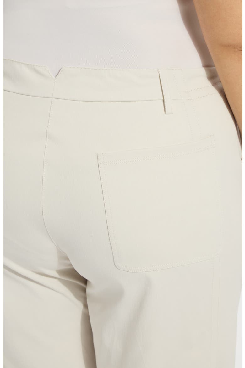 Anelise Barrel Pants, Alternate, color, OAT