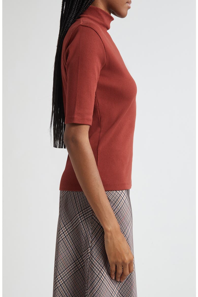 Rib Knit Turtleneck Top, Alternate, color, SIENA