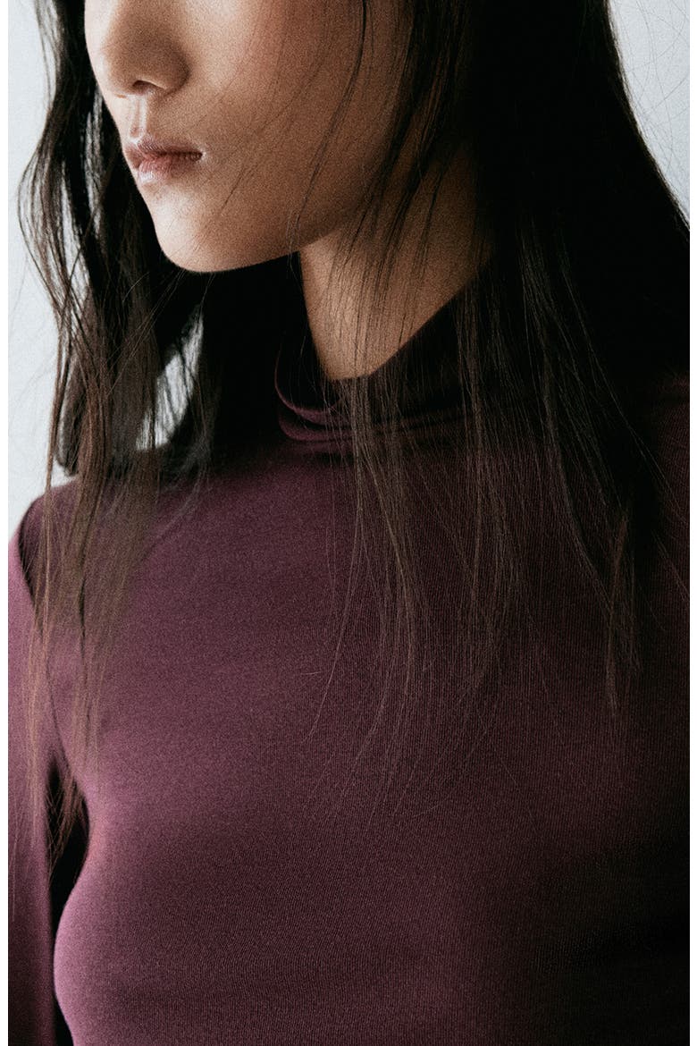 Mock Neck Long Sleeve Top, Alternate, color, BURGUNDY