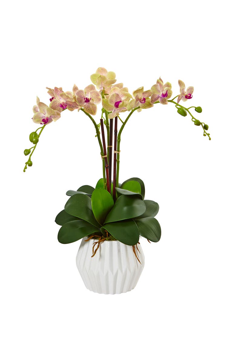 NEARLY NATURAL Phalaenopsis Orchid Artificial Arrangement in White Vase, Main, color, Cream/Orchid