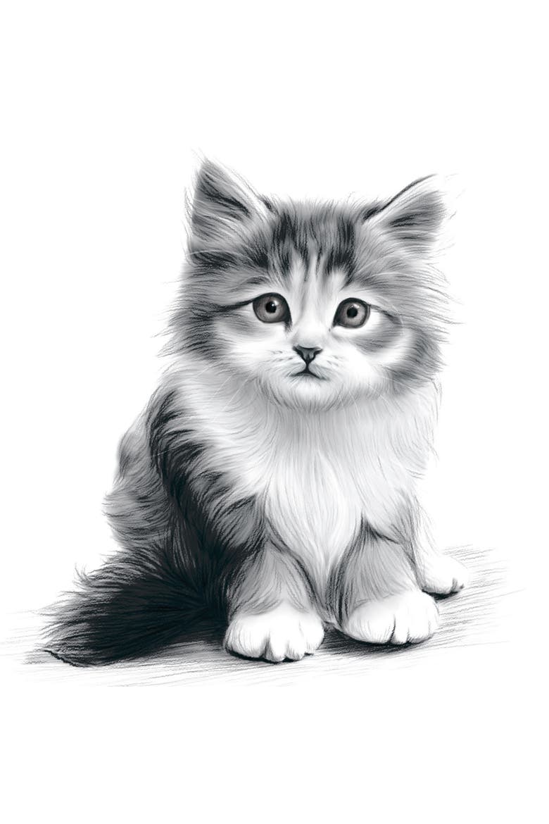 Drawing Techniques, Complete Studio Starter Kit, Instruction Book, Alternate, color, Multicolored