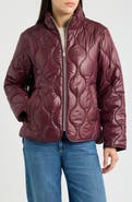 Sam Edelman Onion Quilted Jacket