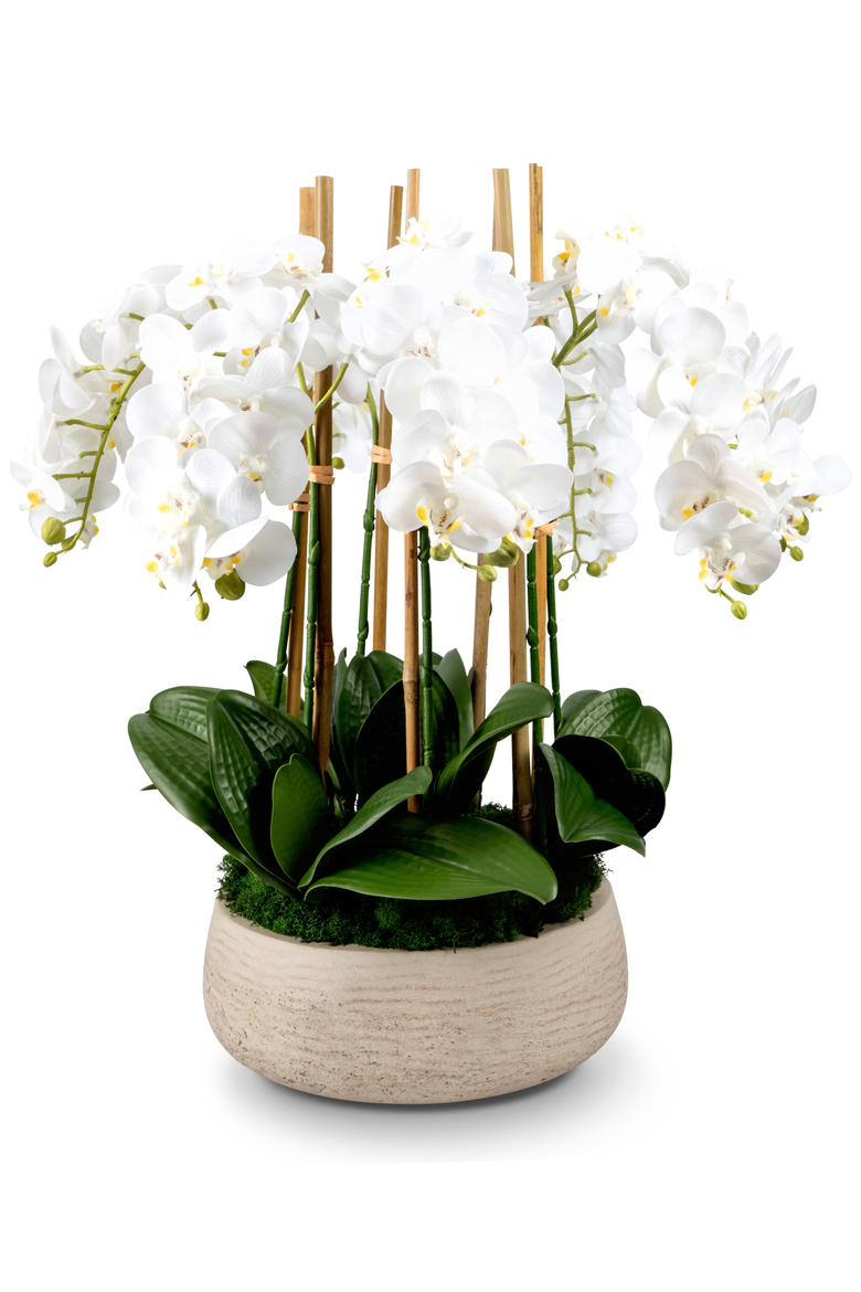 Briar RealTouch Orchid Arrangement, Main, color, Snow