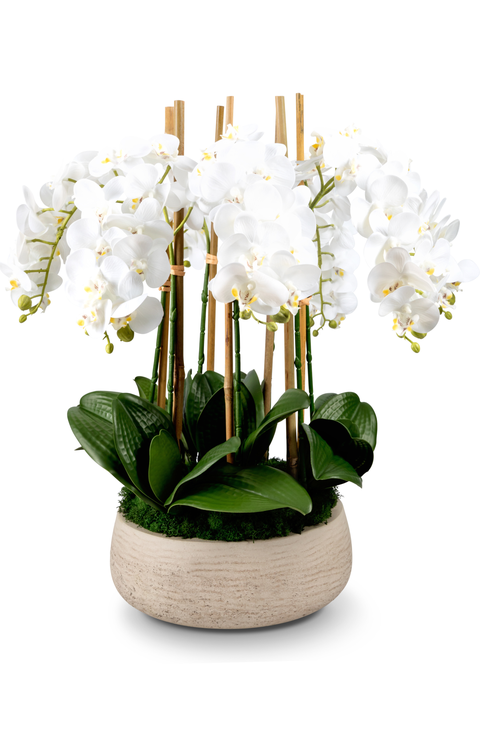 Briar RealTouch Orchid Arrangement