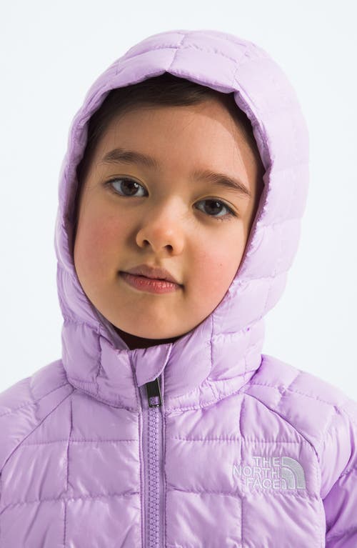 The North Face Kids' Thermoball Eco Hooded Jacket In Purple