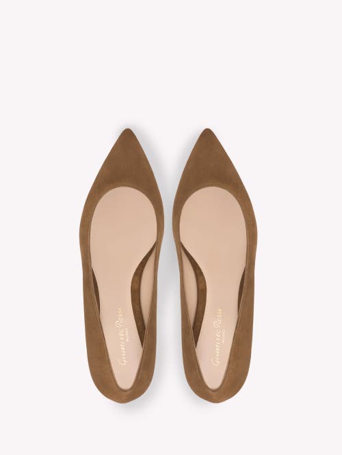 Gianvito Rossi Suede Pointed-toe Ballerina Flats In Brown