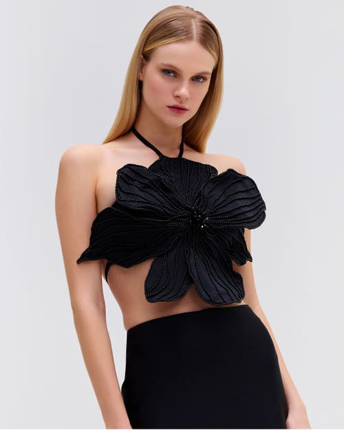 Patbo Hand-beaded Flower Top In Black