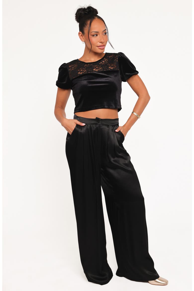 Caitlin Lace & Velvet Crop Top, Alternate, color, BLACK VELVET