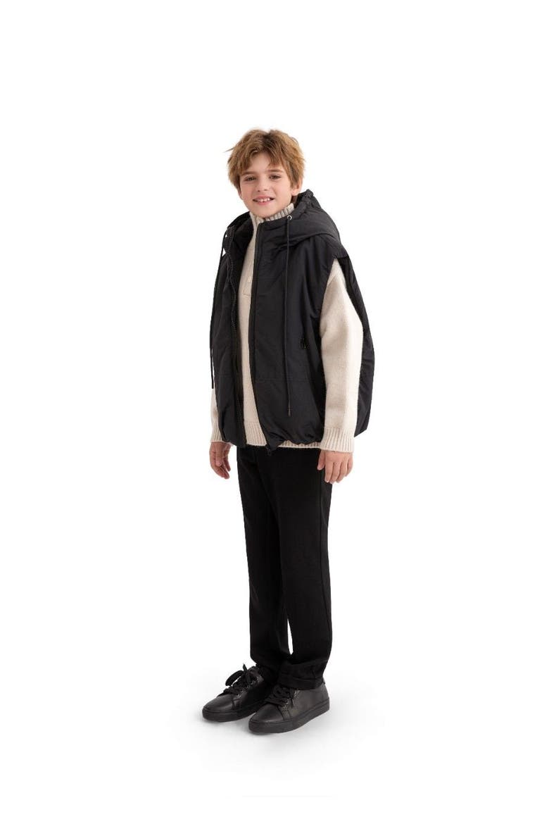 Hooded Puffer Vest, Alternate, color, Black
