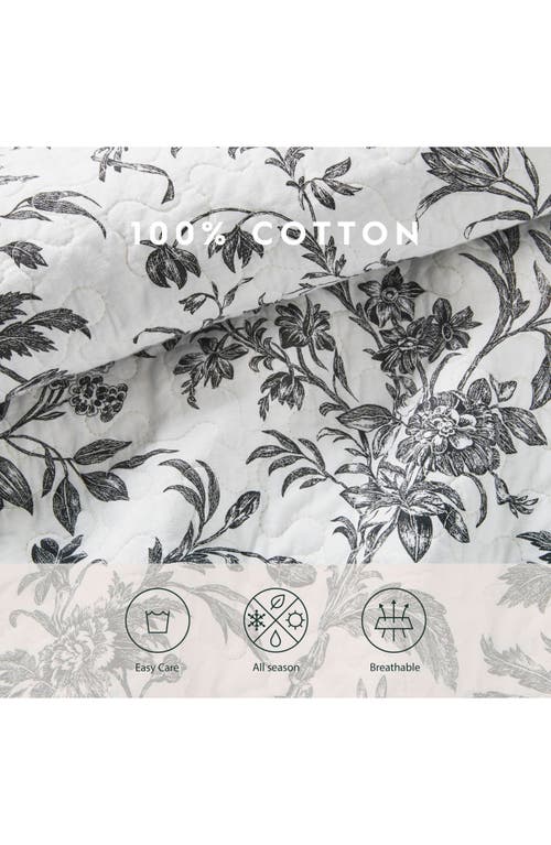 Laura Ashley Amberley Quilt & Sham Set In Black White