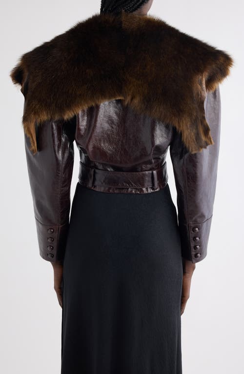 Chloé Leather Crop Jacket With Genuine Shearling Collar In Brown