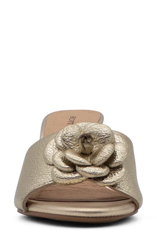 Bottero Botingrid Verao Xxiv Sandal